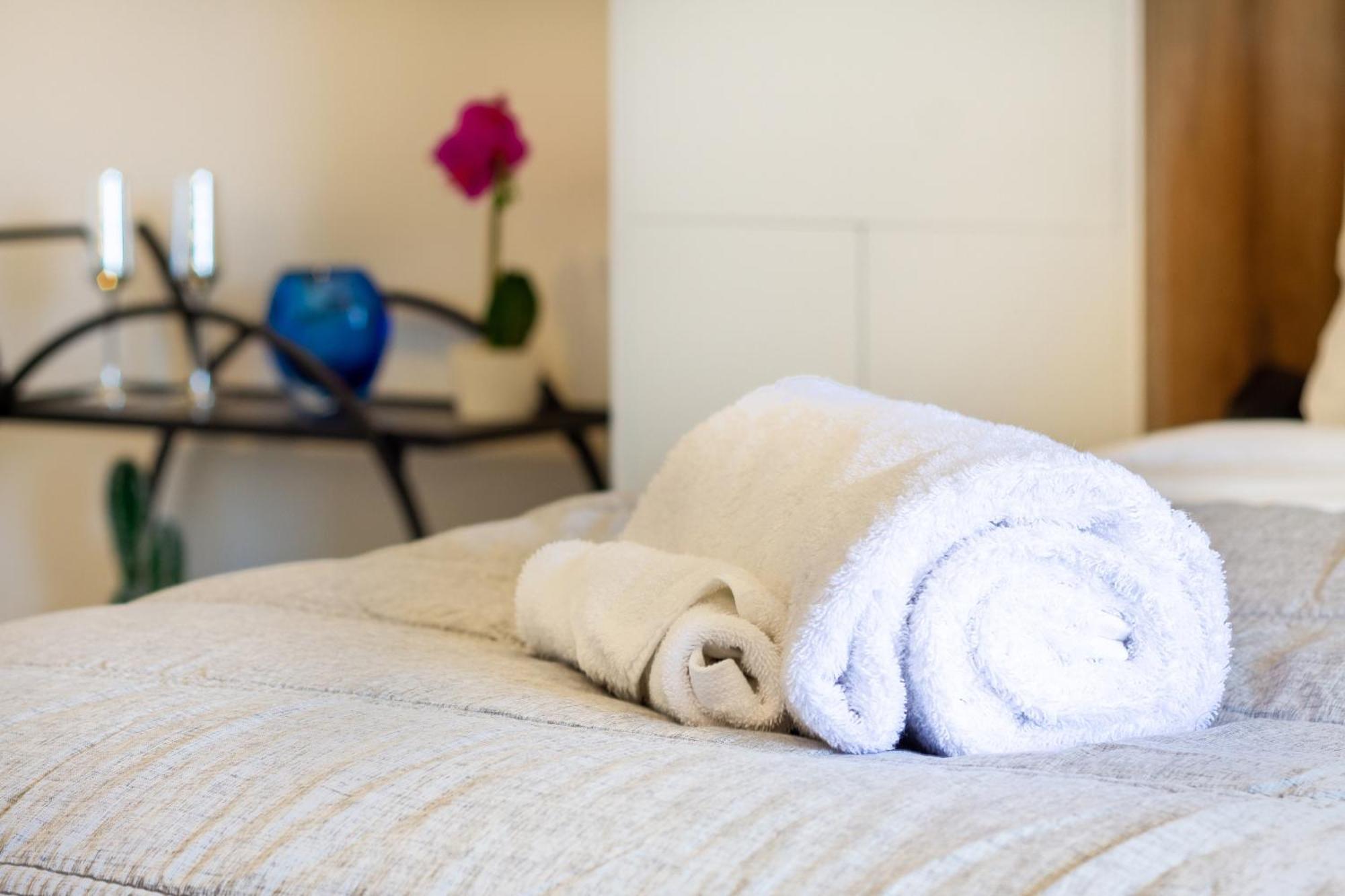 Central City Charm: Pet-Friendly Studio Christchurch Exterior photo